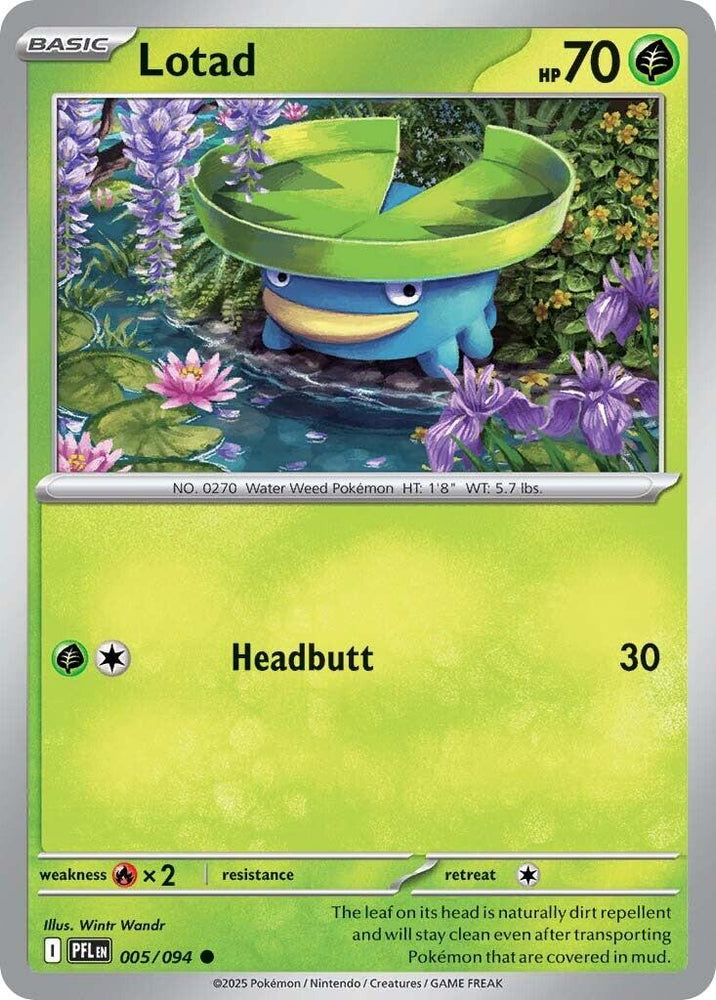 Lotad (005/094) [Mega Evolution: Phantasmal Flames]