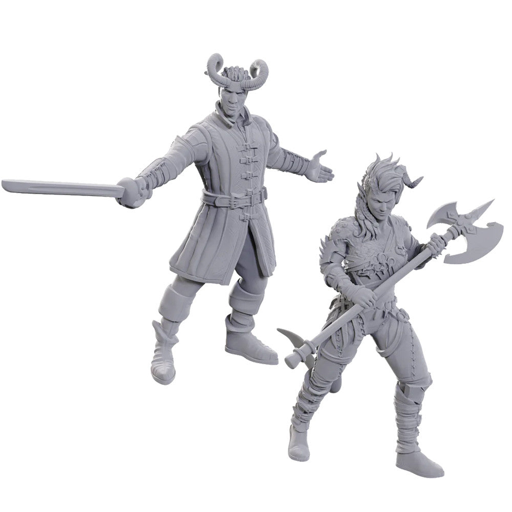 D&D - Nolzur's Marvelous Miniatures - Baldur's Gate - Wyll & Karlach